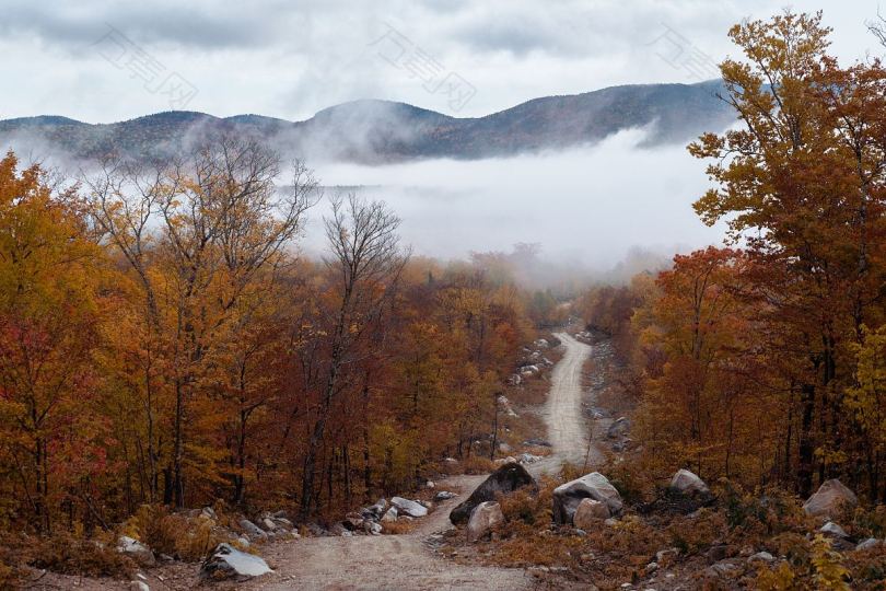 秋天树木道路和薄雾房