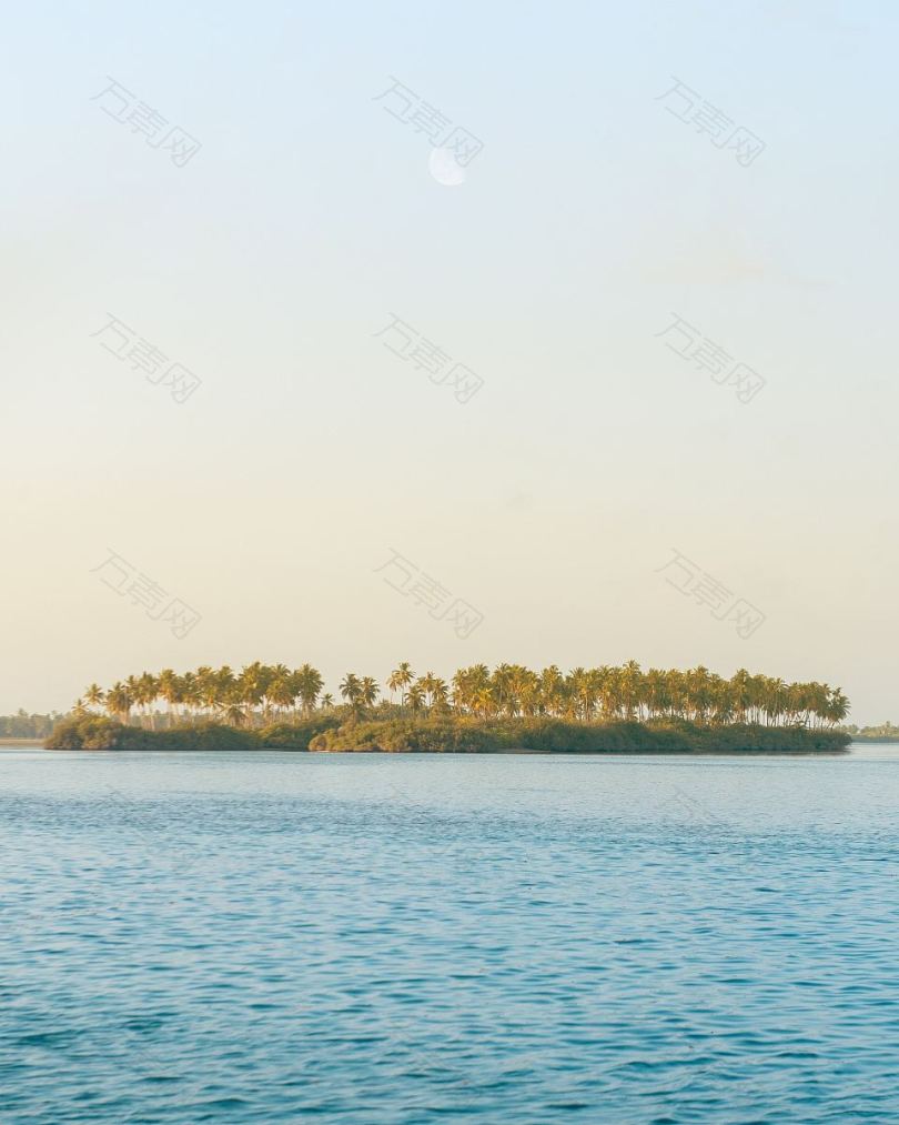 海岛树木海洋和海洋