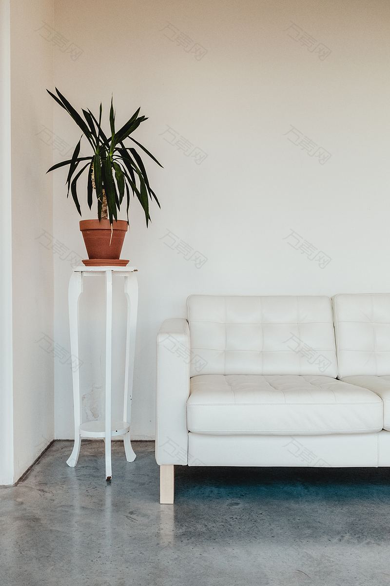 沙发植物和室内高清