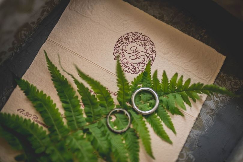 婚礼邀请函婚戒蕨类植物和戒指