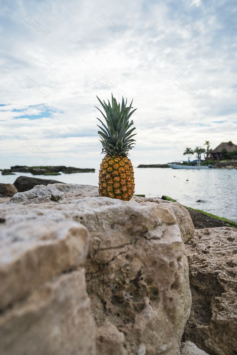 马雅里维埃拉度假村菠萝