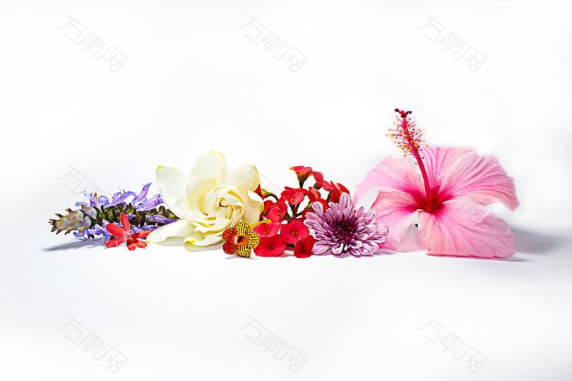 鲜花花束花瓣和彩色