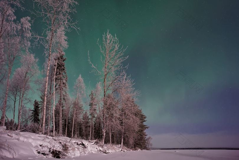 树木北极光和冬季高清
