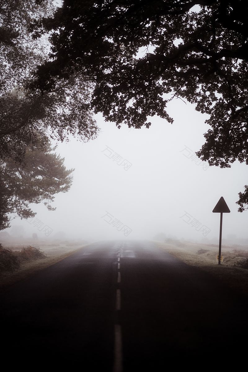 雾中的乡间小路