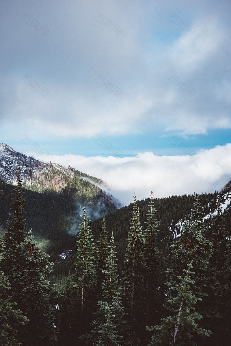 山景雪云