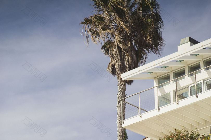 棕榈树阳台海滨别墅和天空房