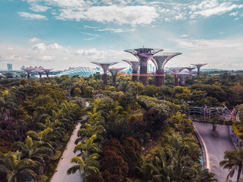 新加坡湾花园