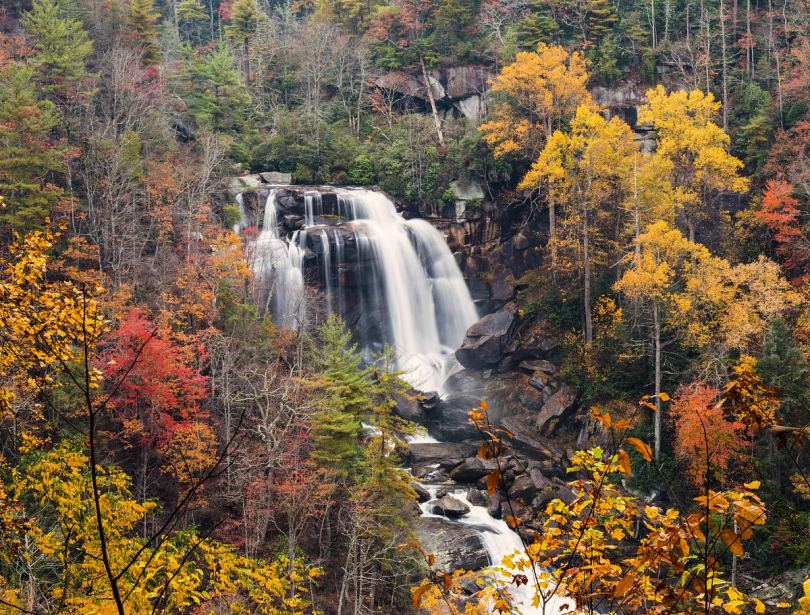 瀑布自然秋天和树叶