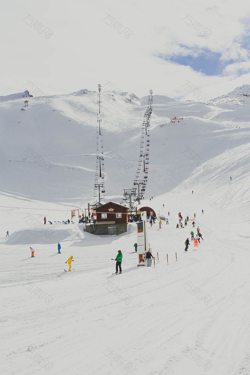 山雪和树