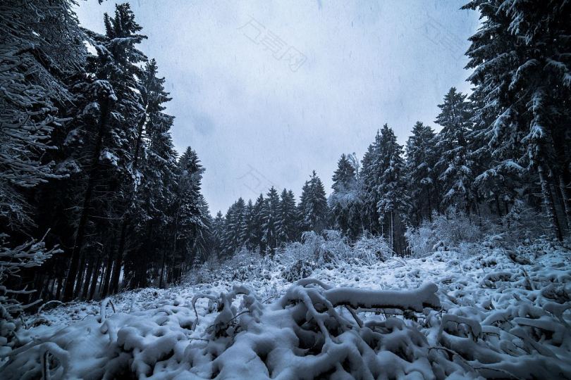 德普冬季森林方面