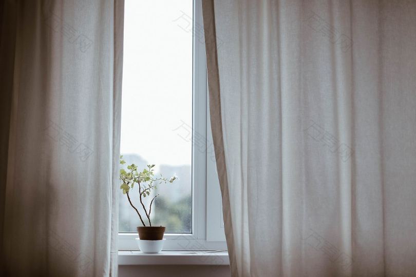 窗户窗帘植物和锅房