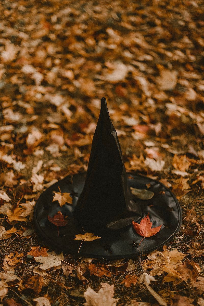 女巫帽万圣节树叶和树叶