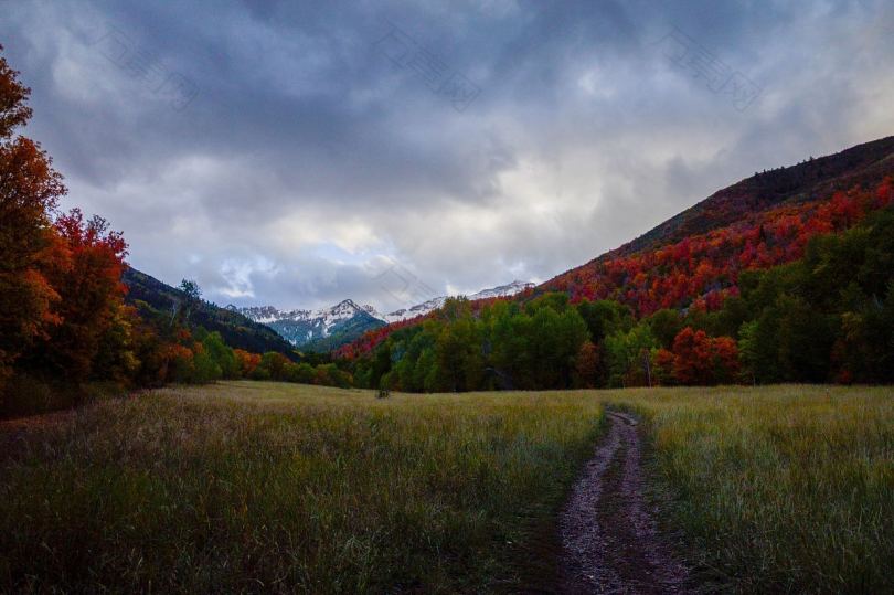 犹他州山区的秋天色彩