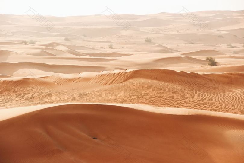 迪拜沙漠沙丘