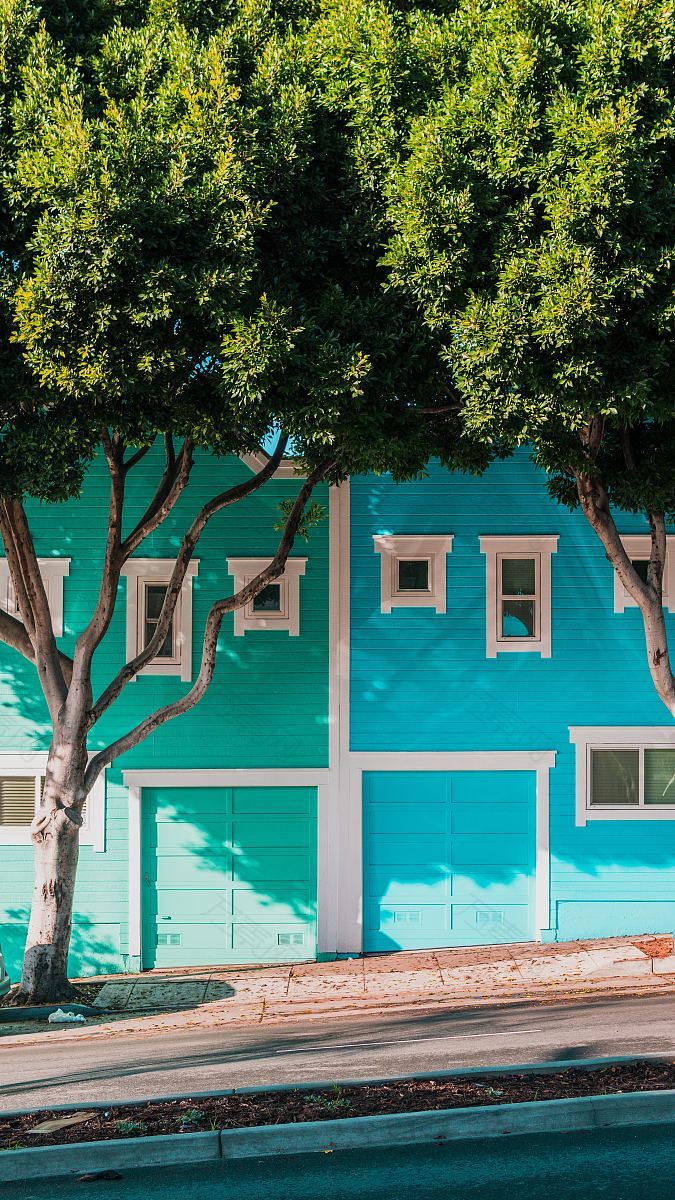 树建筑蓝色和房屋房