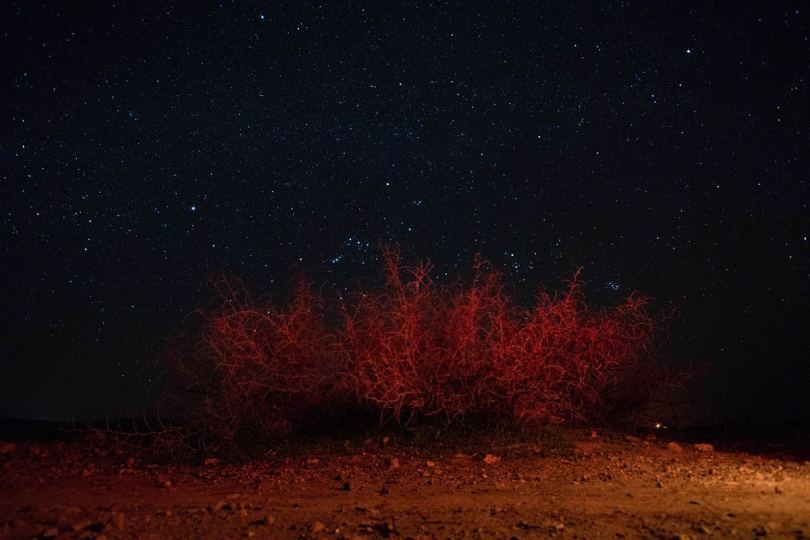 沙漠中的一个夜晚