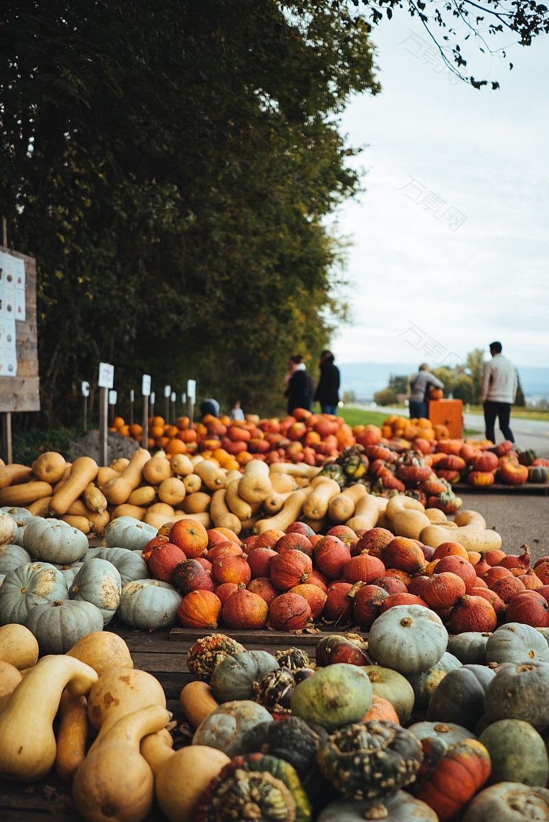 南瓜市场农产品及秋季产品